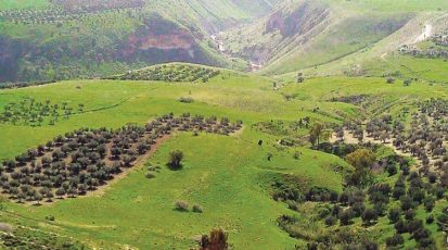 12724966_228271524229358_1031545081s_n