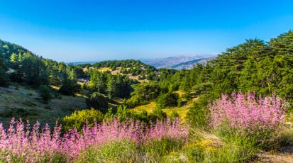 البـــــــاروك