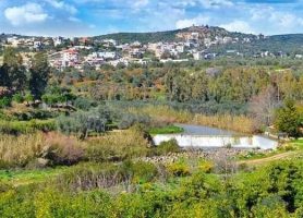 171566481_1189365944833439_7637836686193585103_n