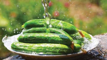 الخيار أمير السلطة اللبنانية