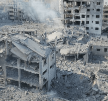 gazarimal_2023-10-18_195802-min