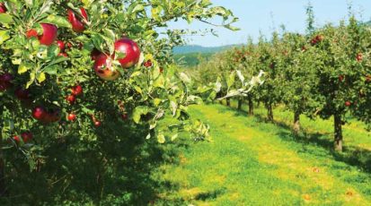 shutterstock_289068404