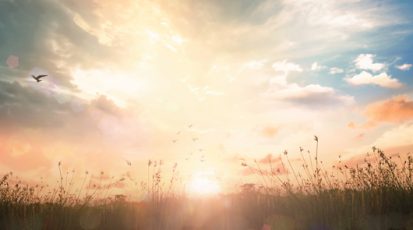 shutterstock_690012241