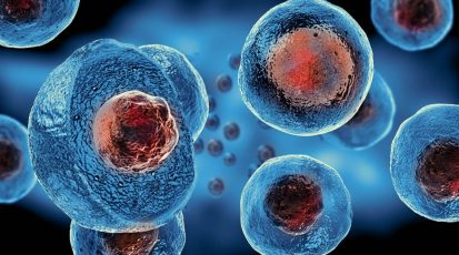 الخلايا الجذعيّة / Stem Cells