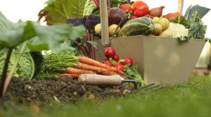 veg_garden-min