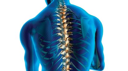 العمود-الفقري-إن-تصنه-يصونك