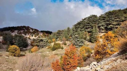 المحمية-في-فصل-الخريف