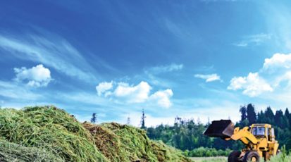 تلة-تخمير-السماد-العضوي-ويلاحظ-أن-الروث-الحيواني-تم-خلطه-مع-الأعشاب-وبقايا-الحقل