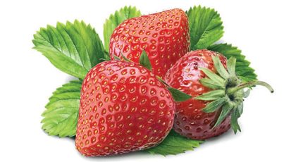 ثمار الفريز الشهية ازرعها بنفسك