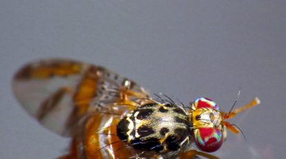 جميلة ... ومخيفة