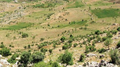 طبيعة-لبنان-الجبلية-مهيأة-للزراعة-العشبية