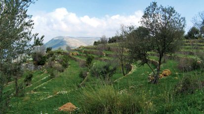 في-هذه-المصاطب-كان-ينمو-خير-كثير--اين-نبدأ-في-ملف-الارض