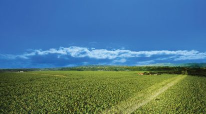 ملايين-الأطنان-من-المواد-السامة-تلنشر-فوق-تربة-الأرض-سنويا